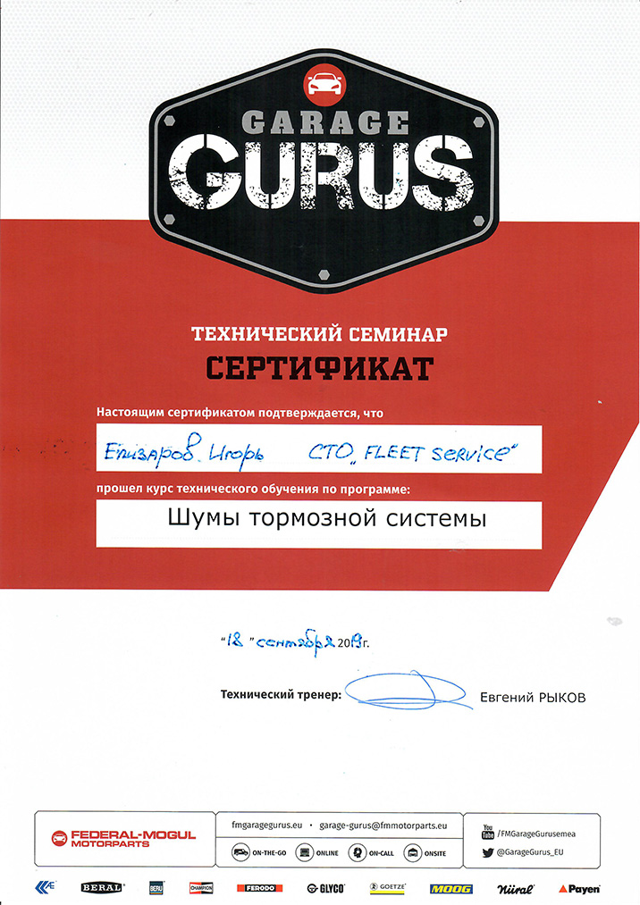 Сертификат-GG-Елизаров.jpg